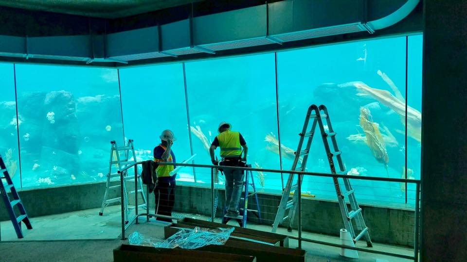 Our team installing window film at SeaWorld
